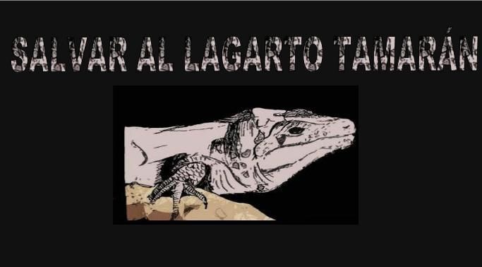 salvar al lagarto tamaran