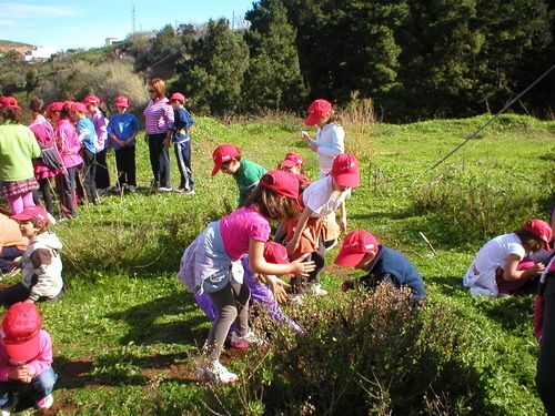 ESCOLARES REPOBLACION FORESTAL 1