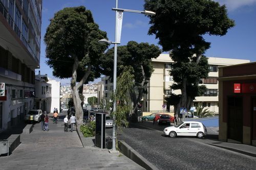 santa maria de guia6