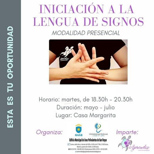 Cartel Curso Lengua Signos