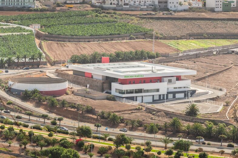 Mercado de Guía