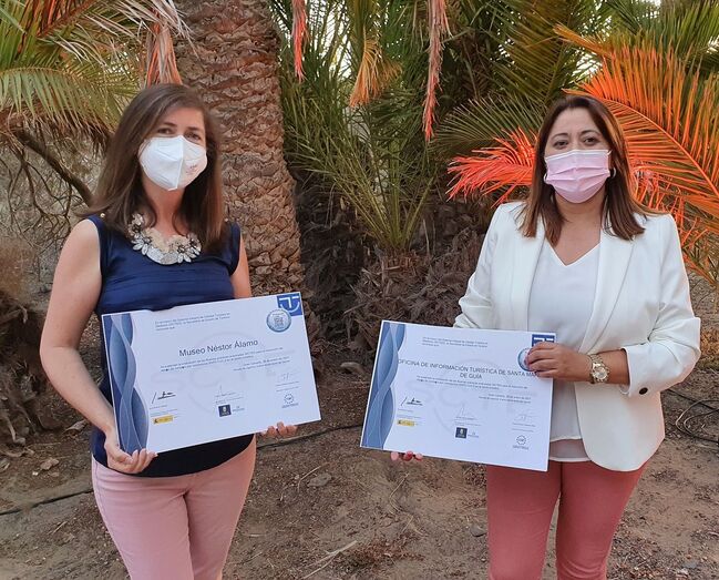 distincionmuseonestor