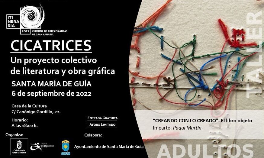 INV DIG GUÍA CICATRICES ADULTOS