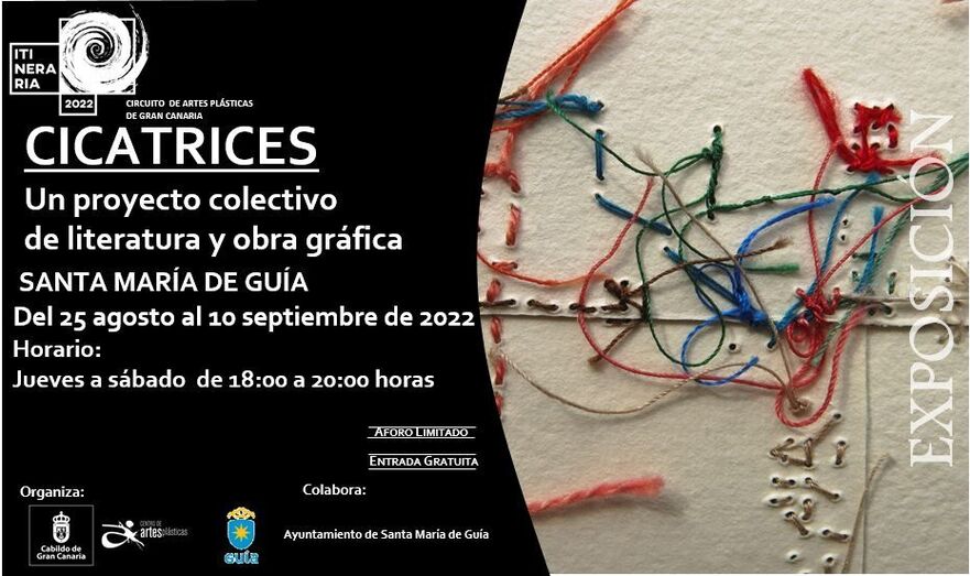INV.DIG GUÍA CICATRICES EXPO