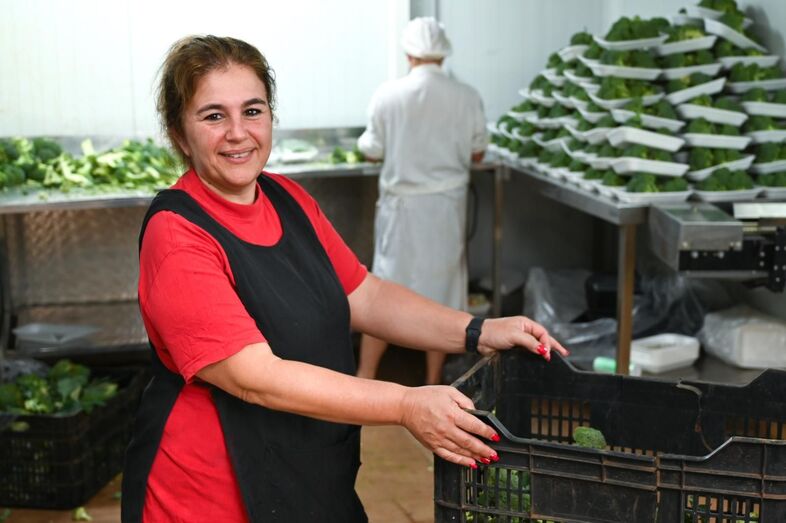 LIDIA 511monicarodriguez