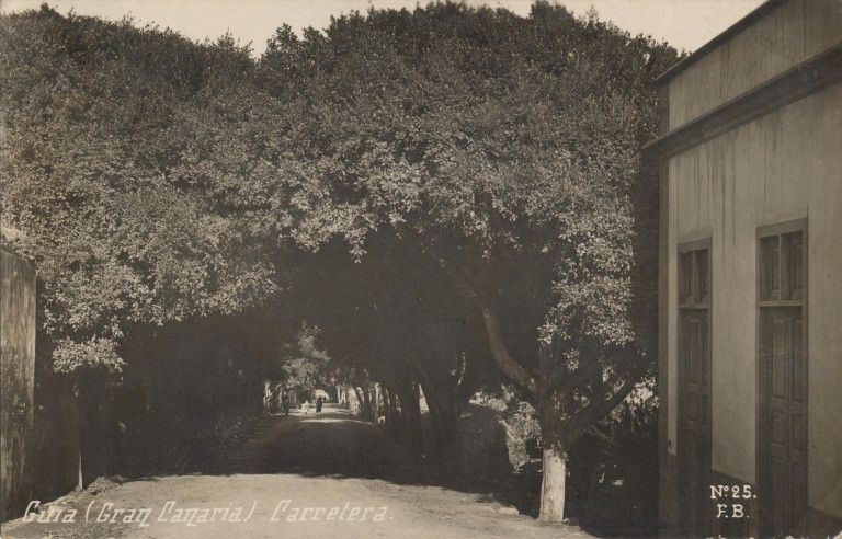 lomo guillen 768x492