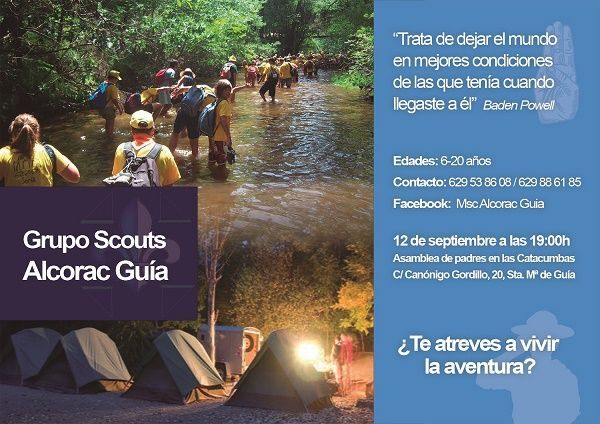 scouts