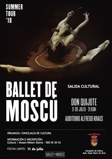 CARTEL BALLET QUIJOTE