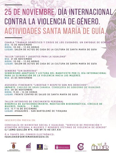 Cartel Día Internacional contra la violencia de genero
