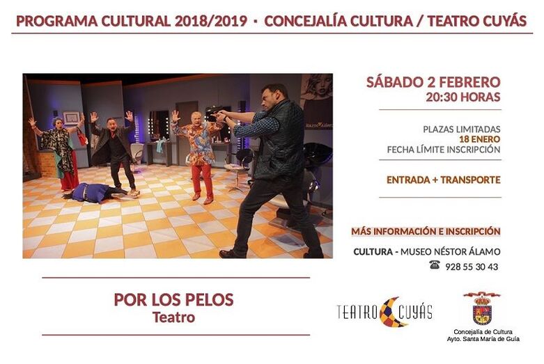 CARTEL POR LOS PELOS