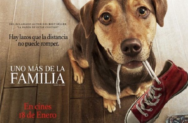 cinefebrero