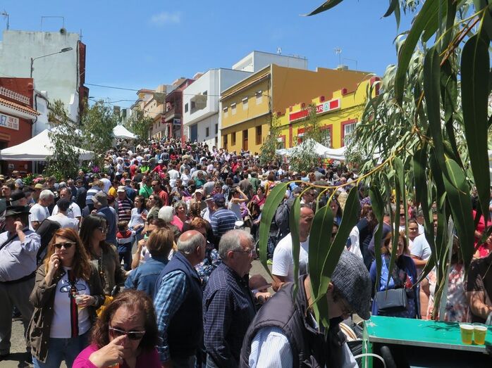 montañaaltaqueso2019