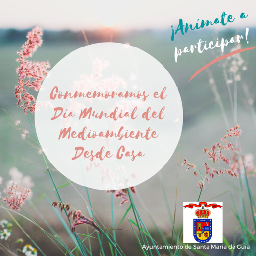 CARTEL MEDIO AMBIENTE 1