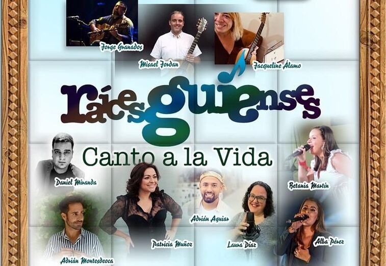 conciertovirgen0120