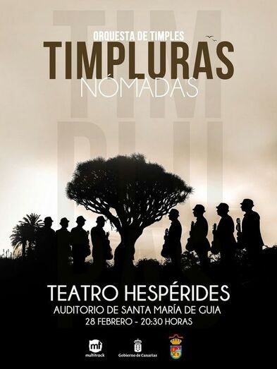 TIMPLURASguia