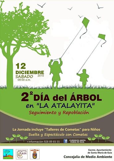 arbol