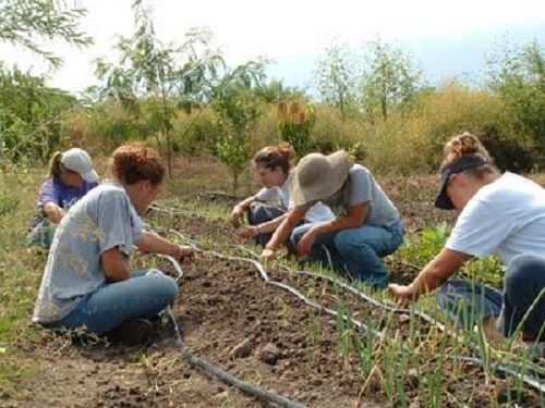 voluntarios naturaleza