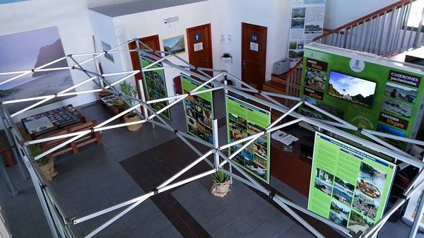 botanicoexpo