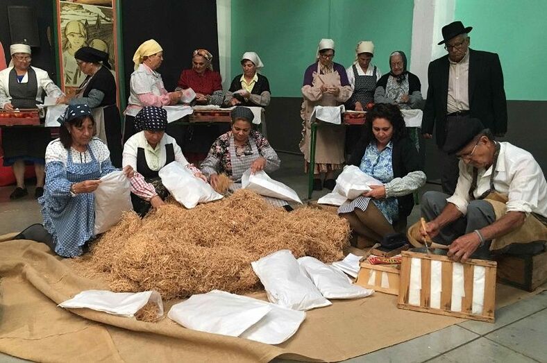 proyecto cultural aldea