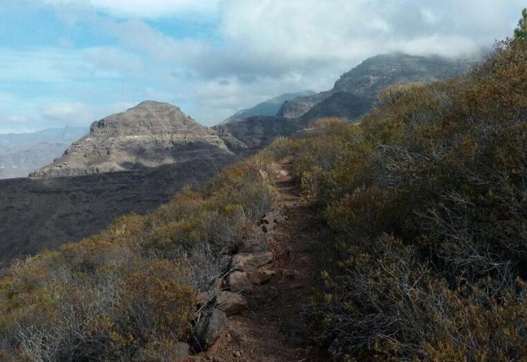 senderoslaaldea201702