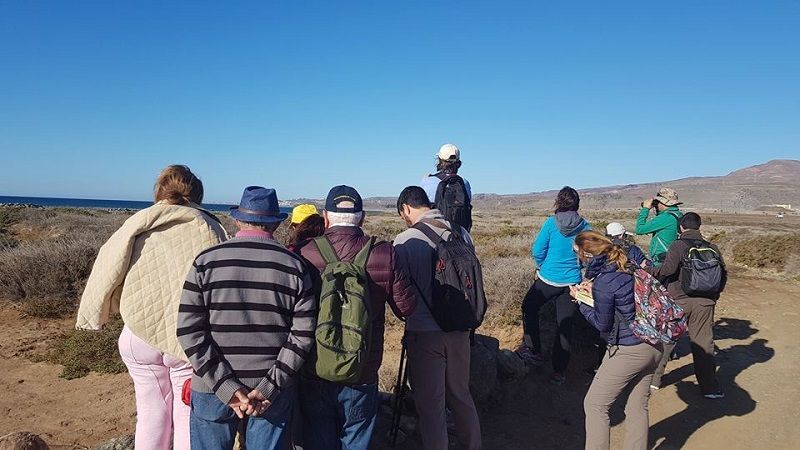 La Aldea de Las Aves 2