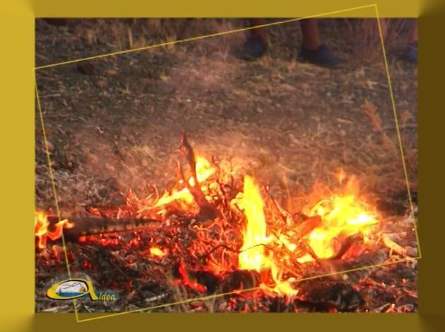 hoguerassanjunaaldea