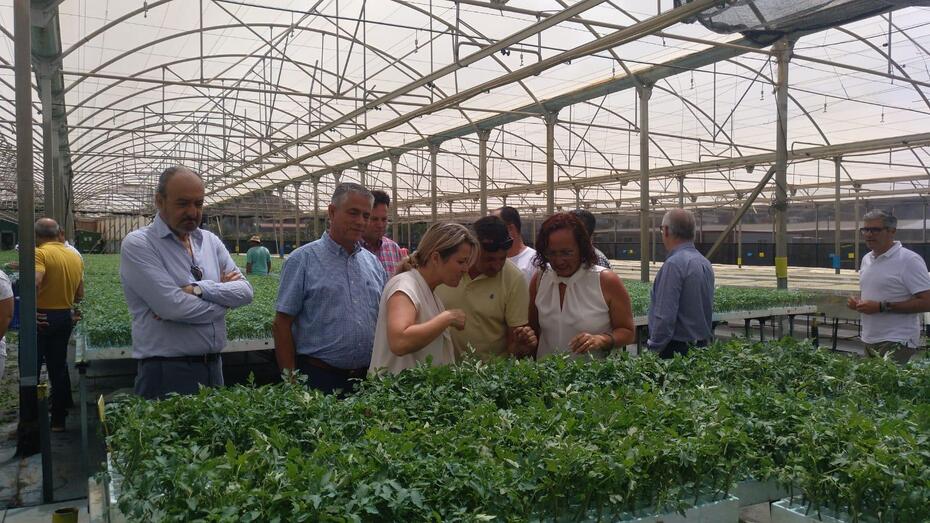 consejeraagriculturaaldea