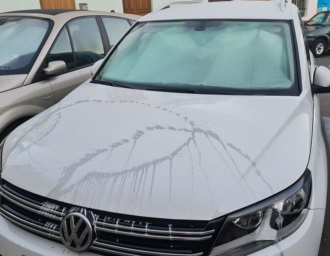 desperfect vehiculo 2
