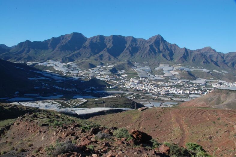 vistageneraldelaladea2020