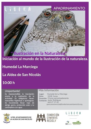 actividadilustracion