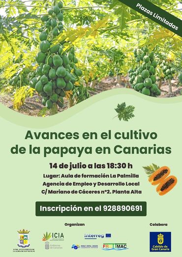charlapapayo