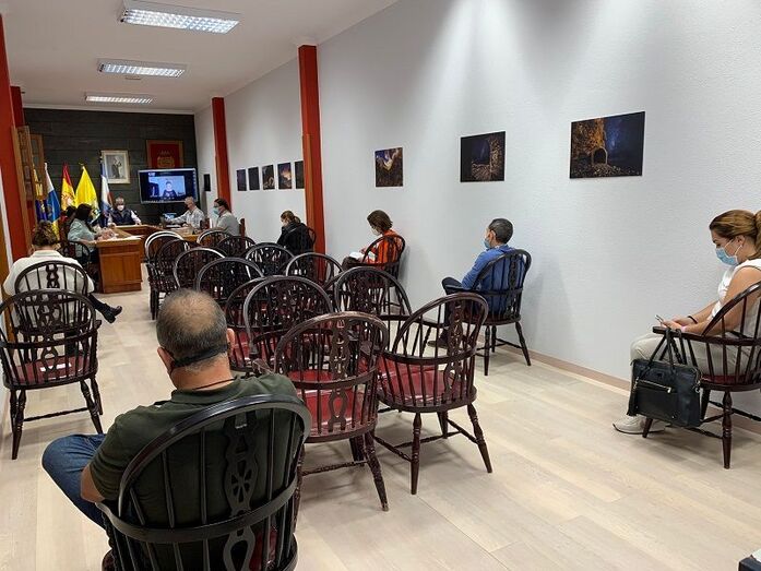 pleno plan economico