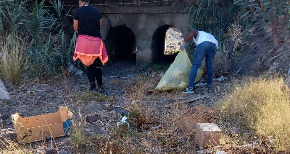 RECOGIDA BASURALEZA 2