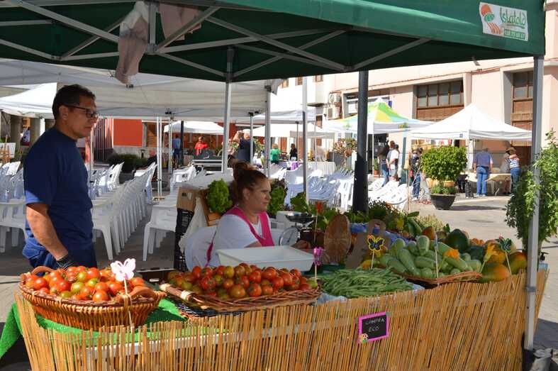 feriatomaterlaaldea01