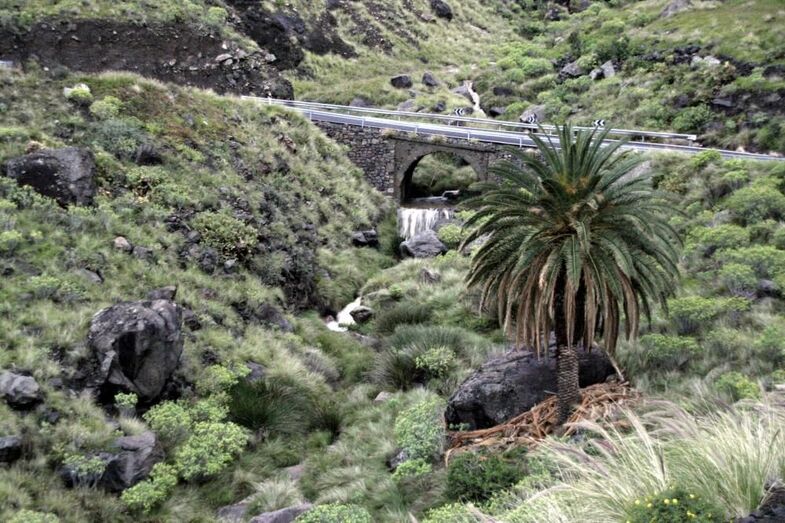 barranquillolapalmascascada