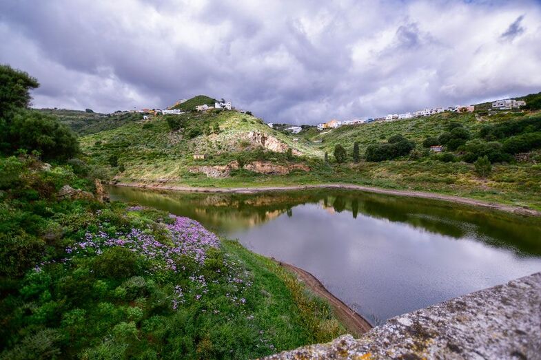 Presa del Pintor (César Kano).