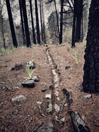 Acequia de riego entorno Hoya de la Ermita