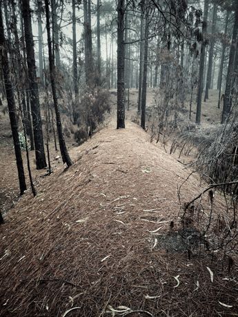 Muro de tierras de La Laguna