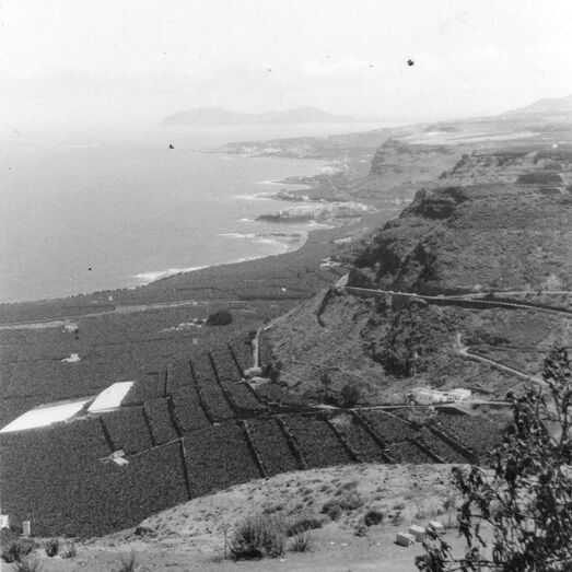 'Jardines fabricados' por el Agricultor en la costa Norte de la Gran Canaria [JGP]
