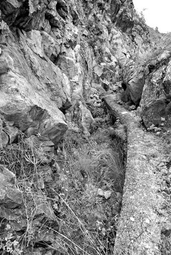 Canal de desviación