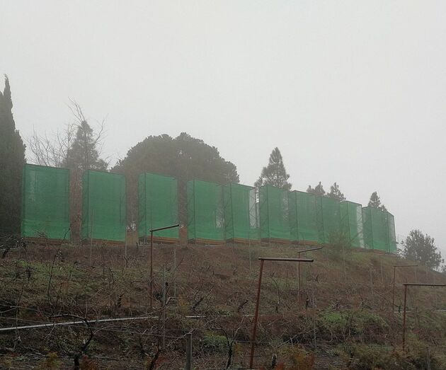 Huerto hídrico en explotación en Gran Canaria