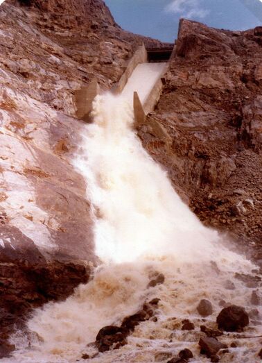 24 de enero de 1979: una visión del fenómeno24 de enero de 1979: una visión del fenómeno