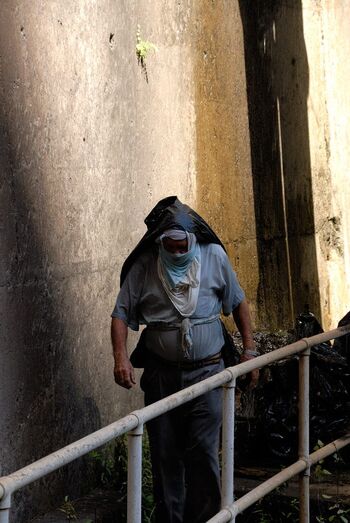 Maestro de la Presa de Soria (Foto JG).