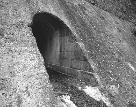 Fig. 8 – Galería de limpia Presa de los Pérez (J. González)