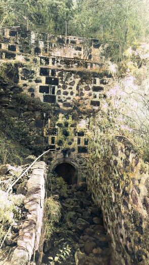 Detalles del estanque a la altura de la galería de fondo (erosión viva)