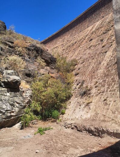 Detalle del pie de presa y la vegetación asociada a las filtraciones (JG)