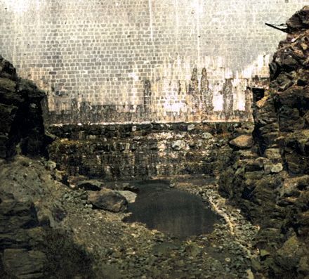 Contacto presa primitiva y recrecimiento (CIGC)