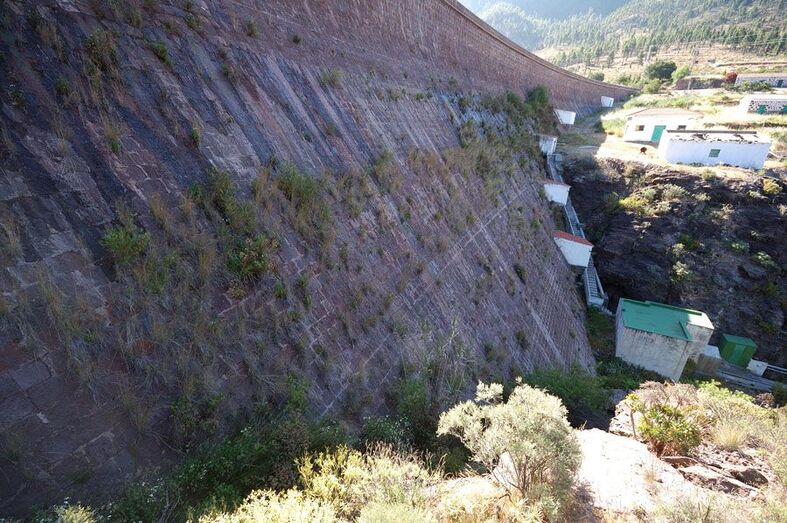 Se aprecia la junta superior Guerra - Lozano (JG)