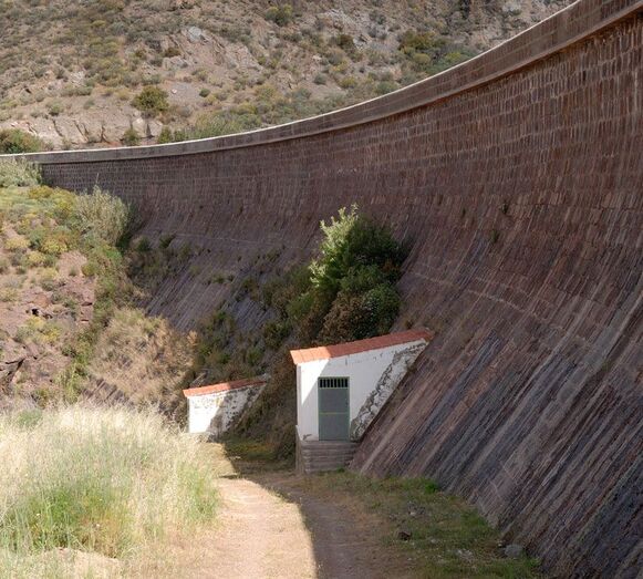 Filtraciones, vegetación, año 2011 (JG)