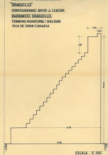Perfil tipo de la presa construida (Vigilancia de Presas)